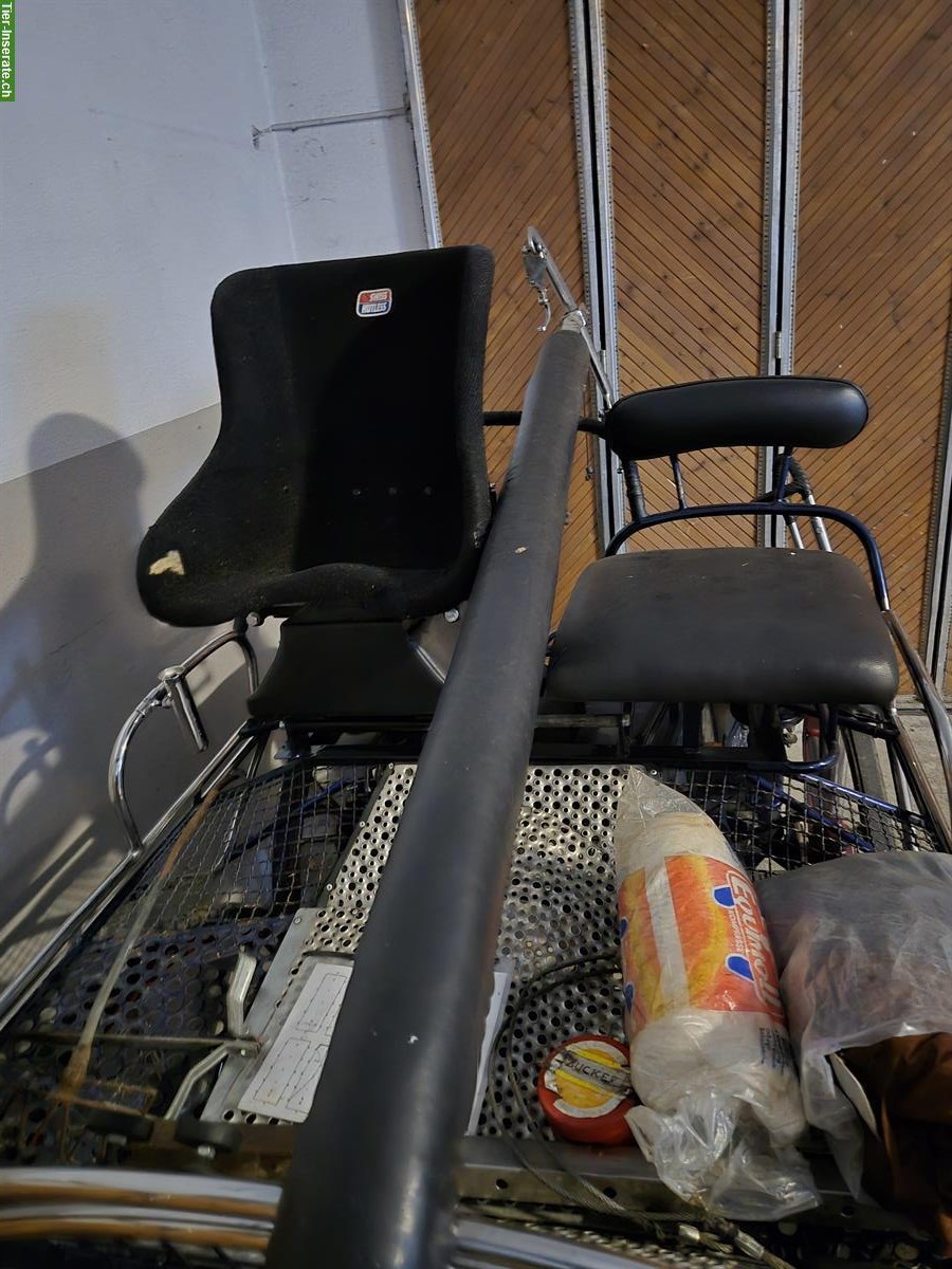 Bild 3: 4-spänner Marathonwagen zu verkaufen