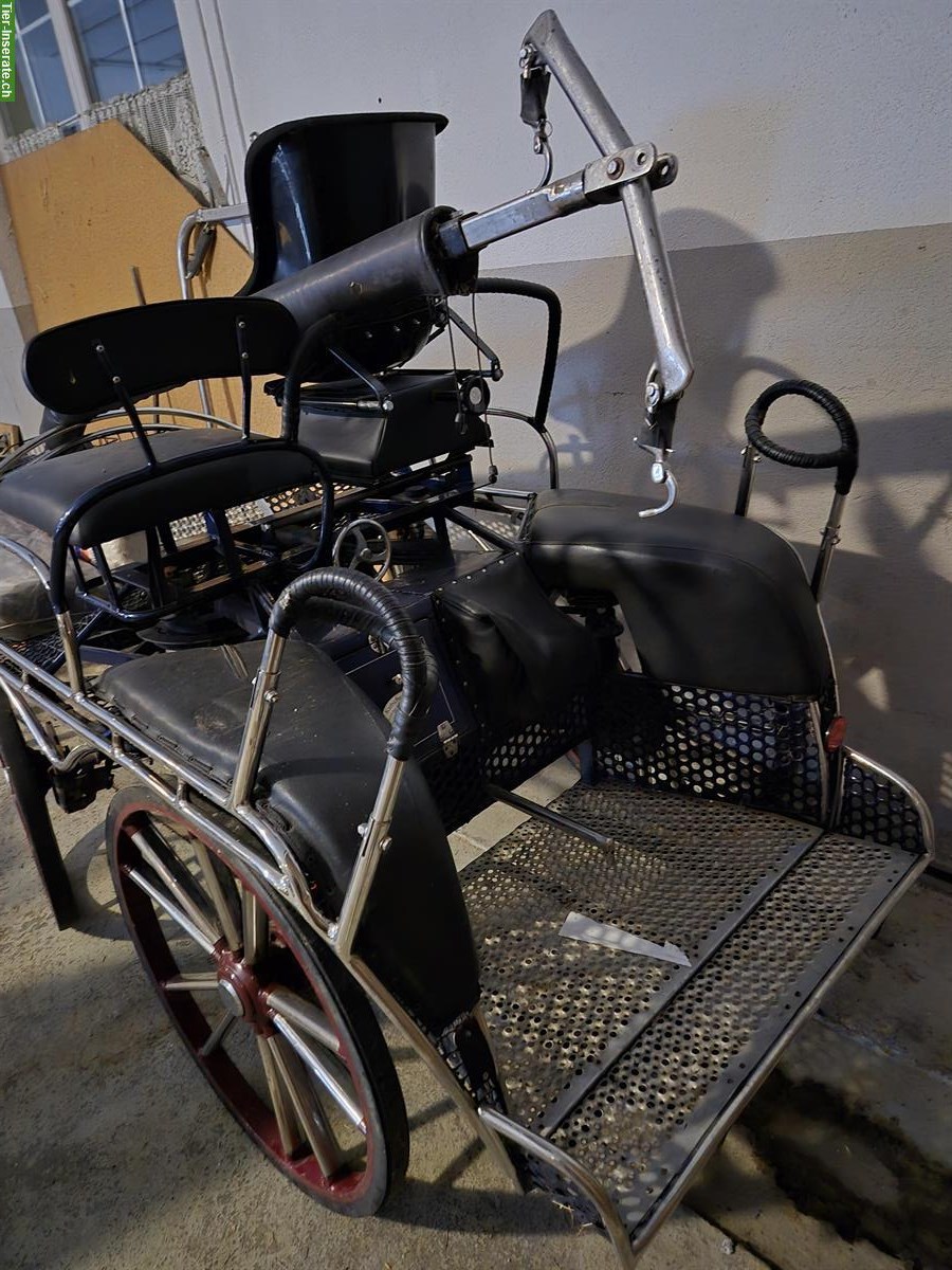 Bild 4: 4-spänner Marathonwagen zu verkaufen