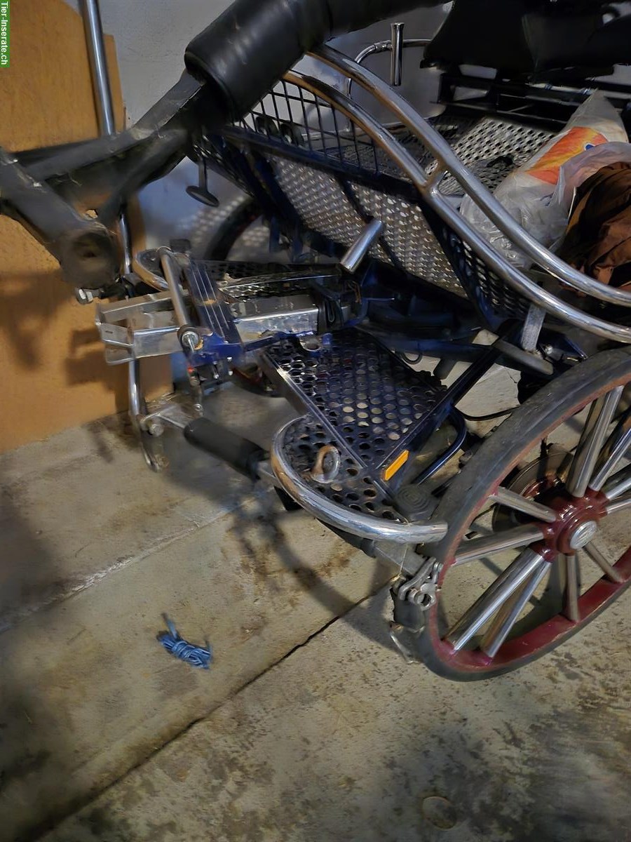 Bild 5: 4-spänner Marathonwagen zu verkaufen