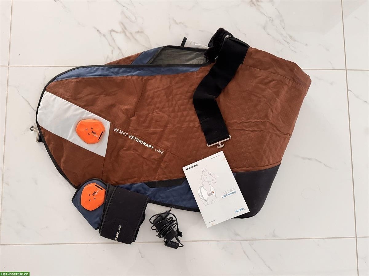Bemer Veterinary Line Set für Pferde zu verkaufen
