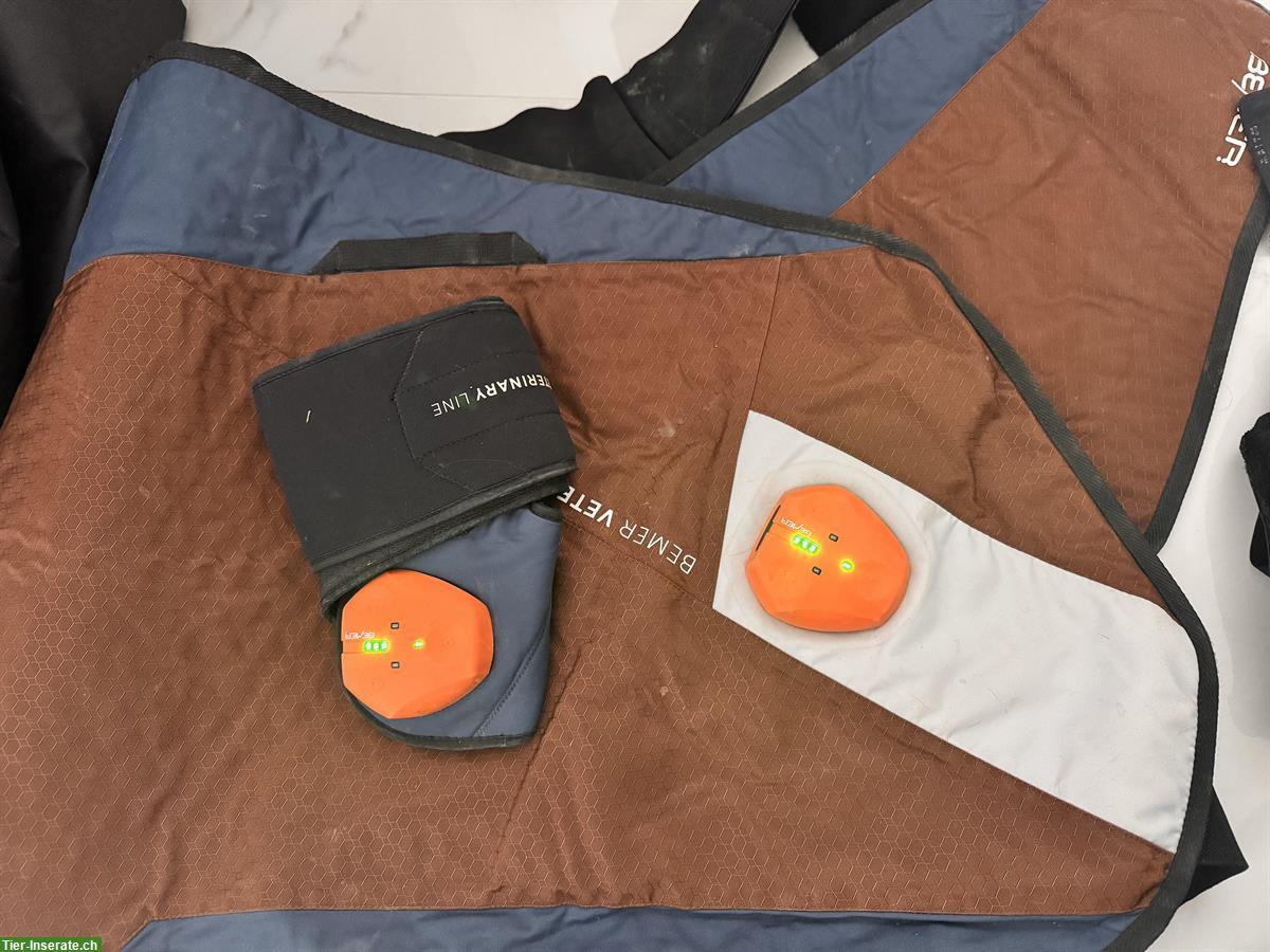Bild 2: Bemer Veterinary Line Set für Pferde zu verkaufen