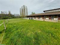 Auslaufboxen in Zuben TG mit Sandplatz & Pferdesolarium