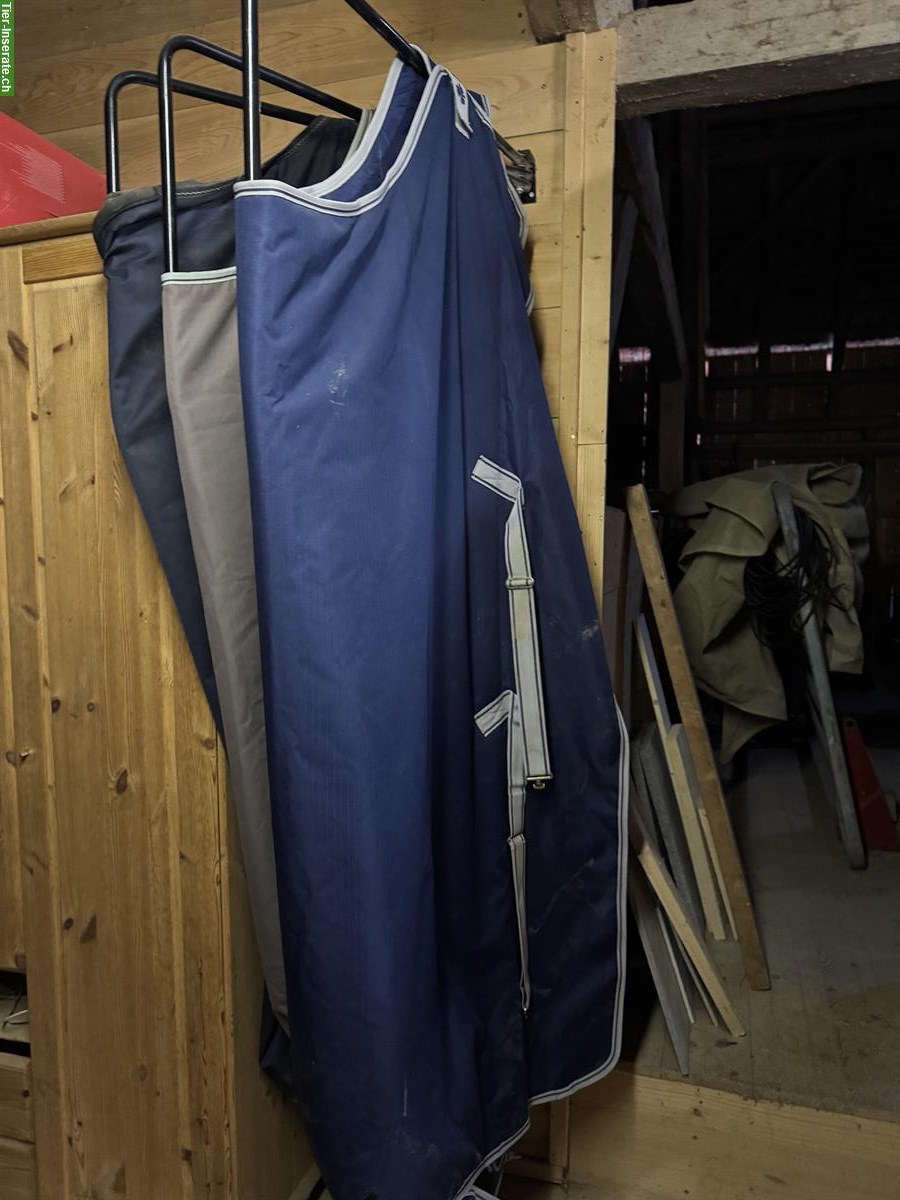 Bucas Freedom Turnout Pferdedecke, ungebraucht, 145cm, 300g