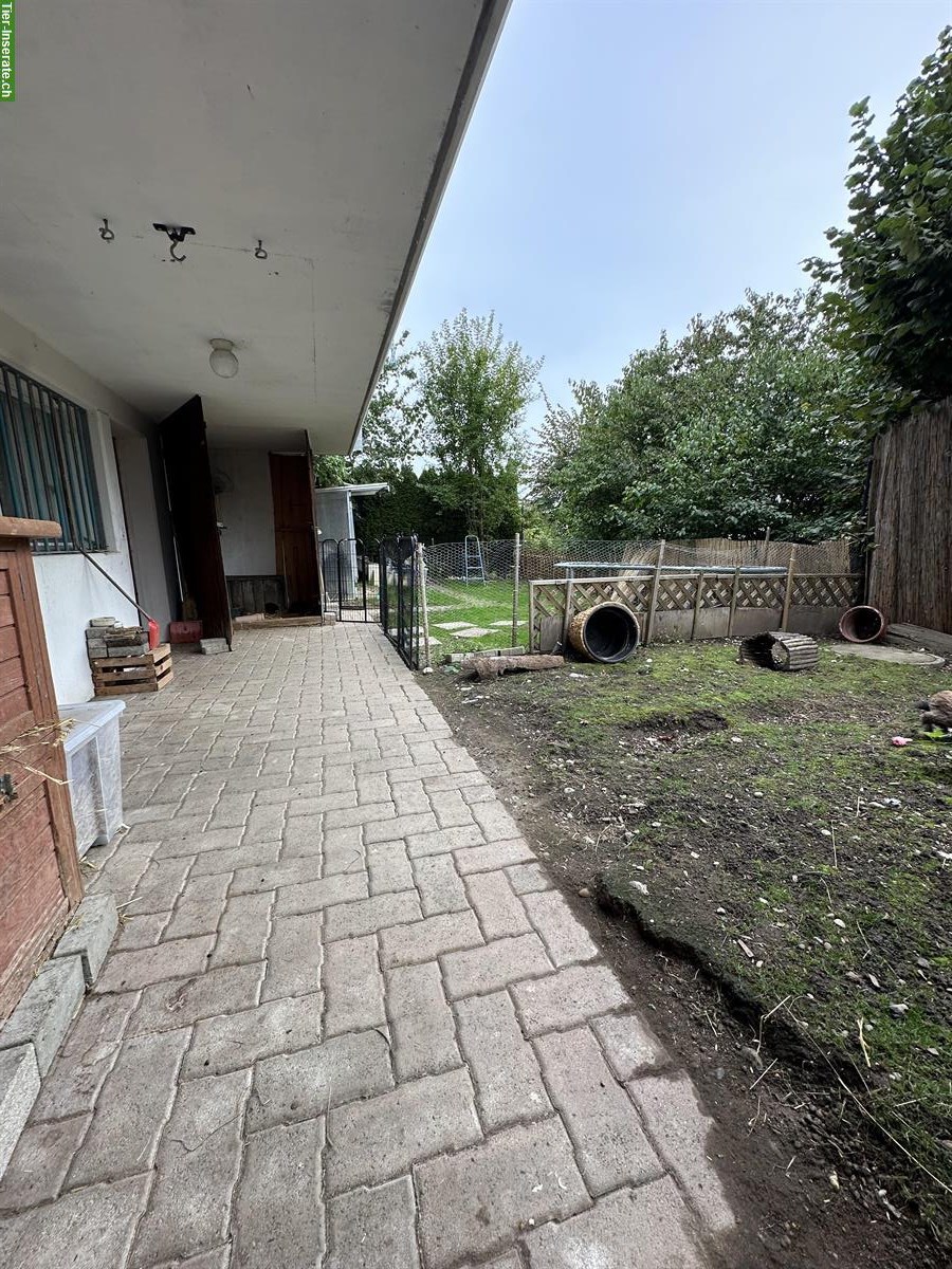 Bild 4: Auffangstation für Kaninchen & Meerschweinchen