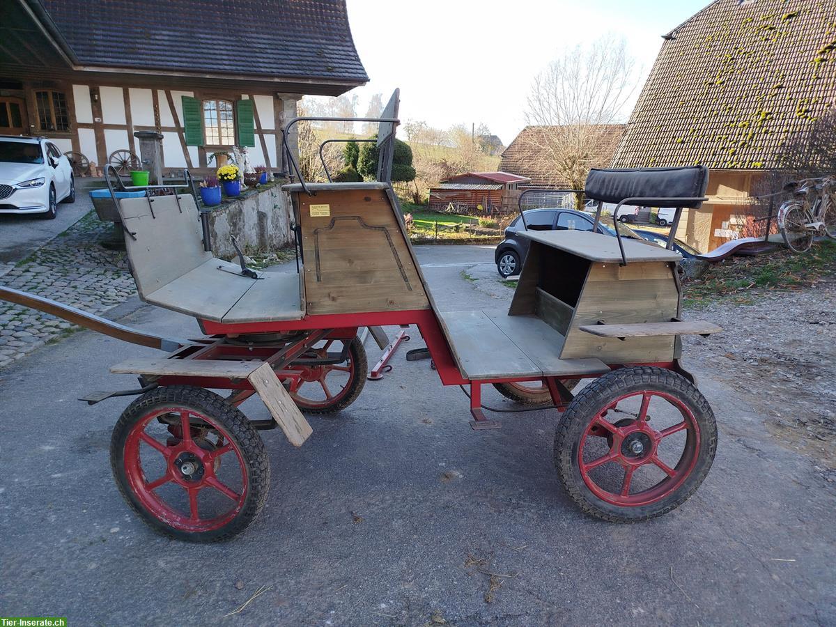 Pferdekutsche Sarner-Break Ein- und Zweispänner