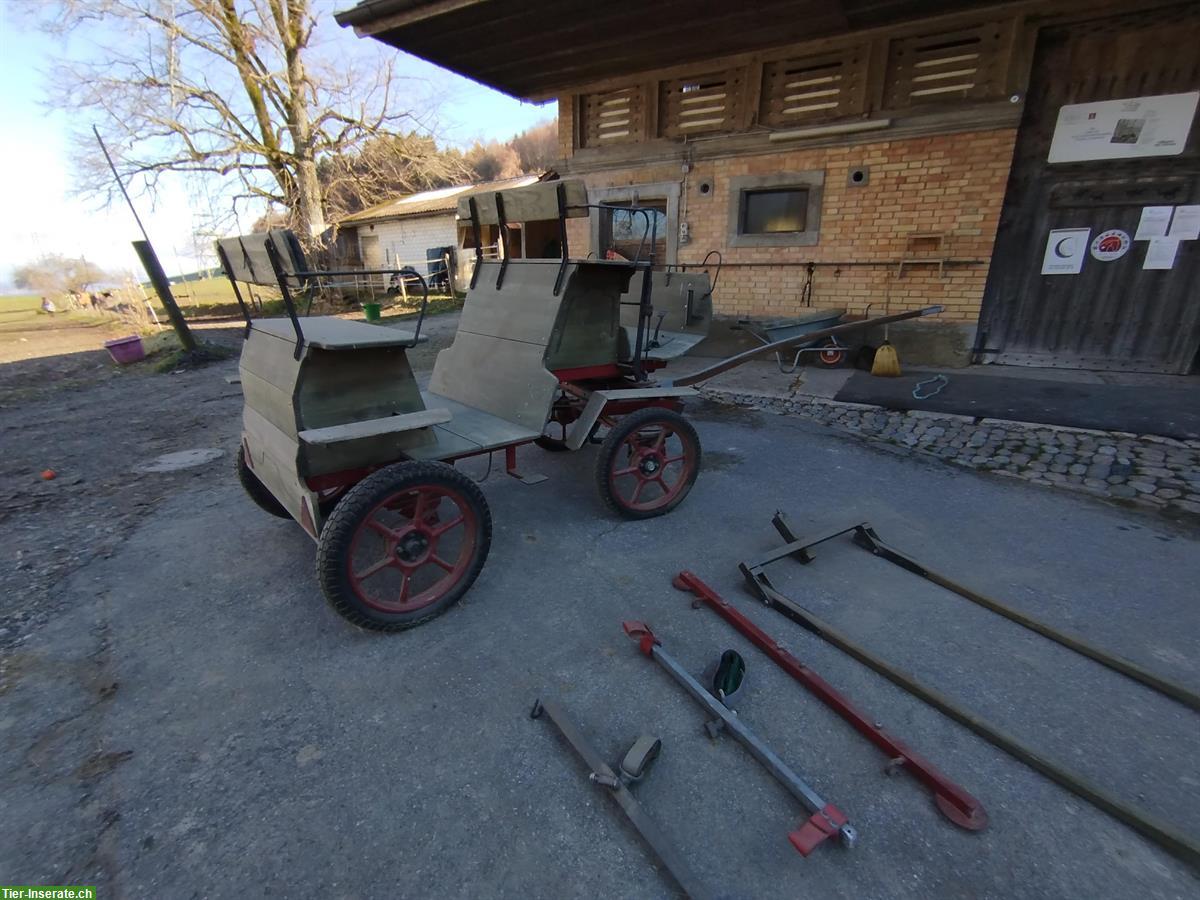 Bild 3: Pferdekutsche Sarner-Break Ein- und Zweispänner
