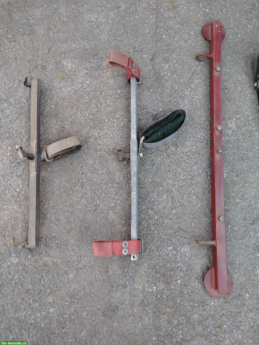 Bild 4: Pferdekutsche Sarner-Break Ein- und Zweispänner