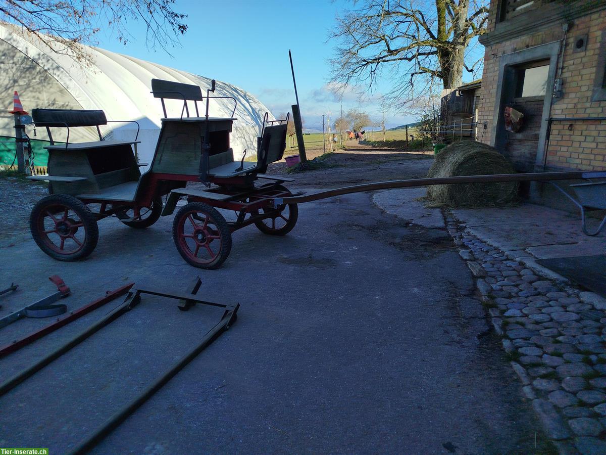 Bild 6: Pferdekutsche Sarner-Break Ein- und Zweispänner