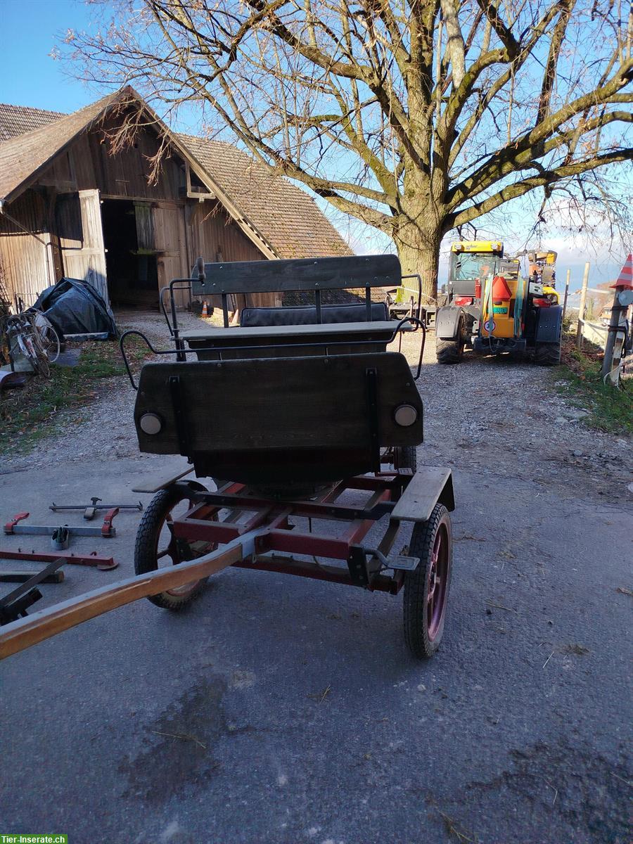 Bild 7: Pferdekutsche Sarner-Break Ein- und Zweispänner