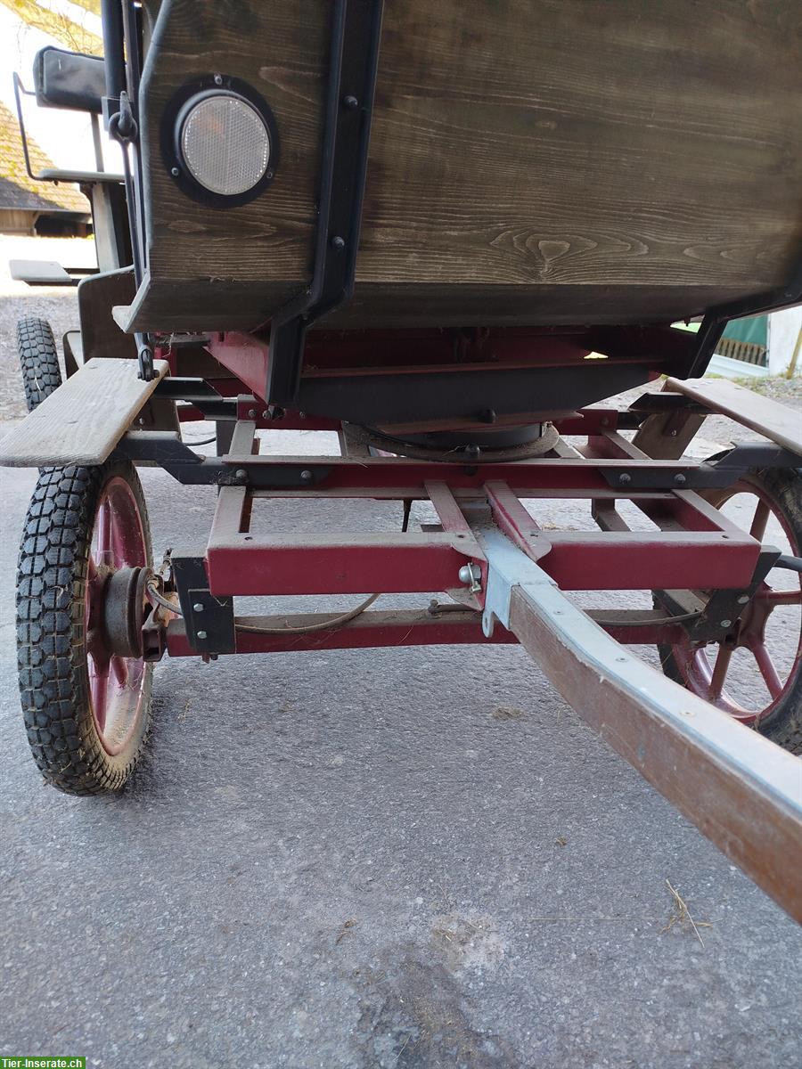 Bild 9: Pferdekutsche Sarner-Break Ein- und Zweispänner