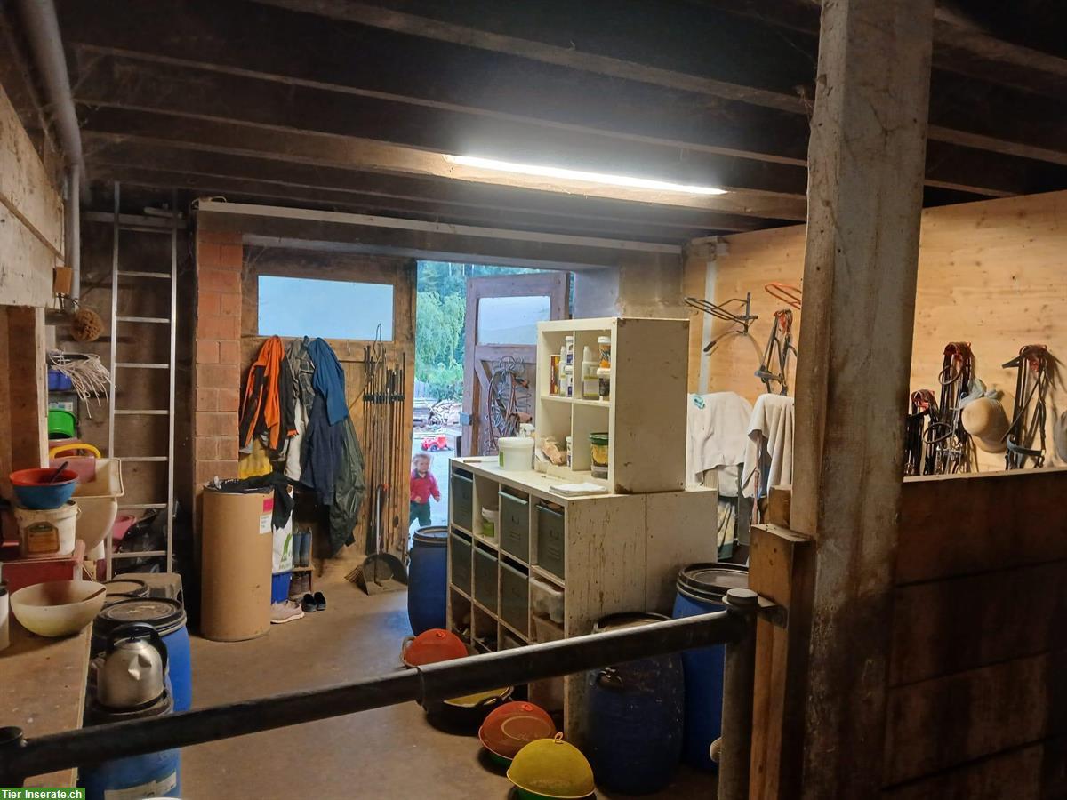 Bild 2: Grosszügiger Offenstall für 2-4 Pferde in Gipf-Oberfrick AG