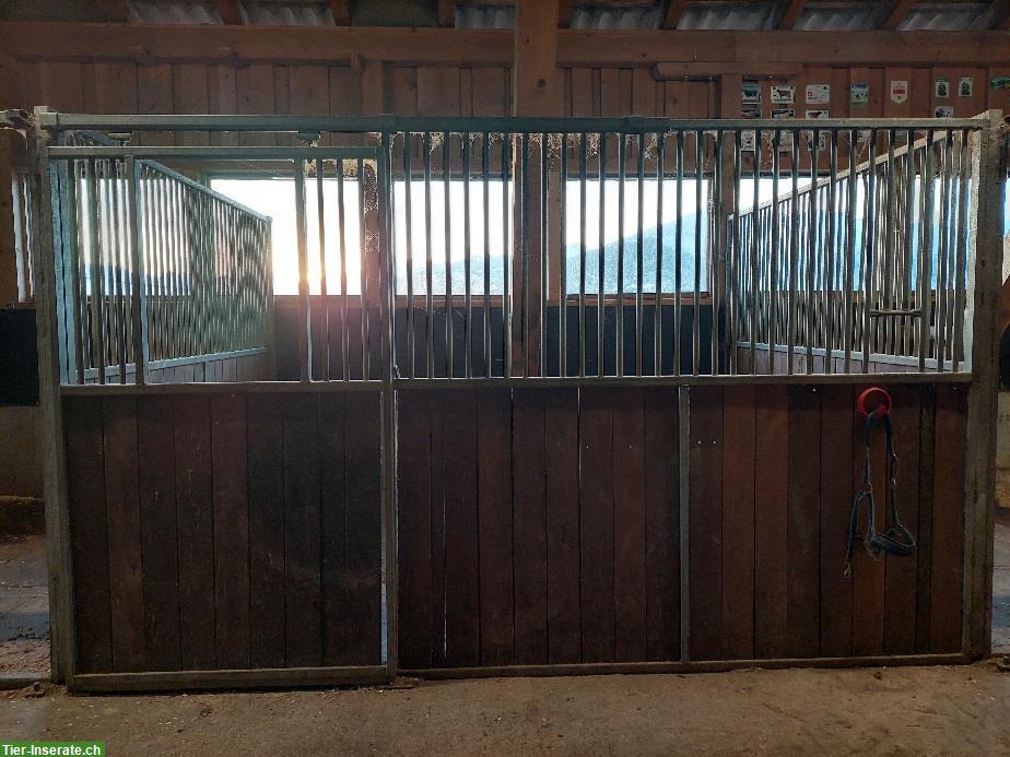 Bild 2: Gebrauchte Pferdeboxen Frontwand & Mittelwand