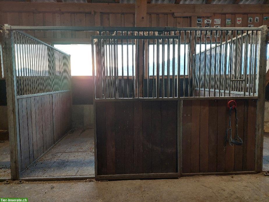 Bild 3: Gebrauchte Pferdeboxen Frontwand & Mittelwand