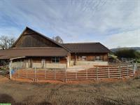 Offenstallplatz frei in 3er Gruppe mit gewässertem Heu, Sempach LU