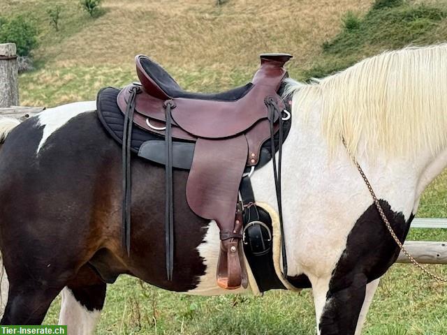 Bild 6: Cold Creek Westernsattel Modell Expo 18