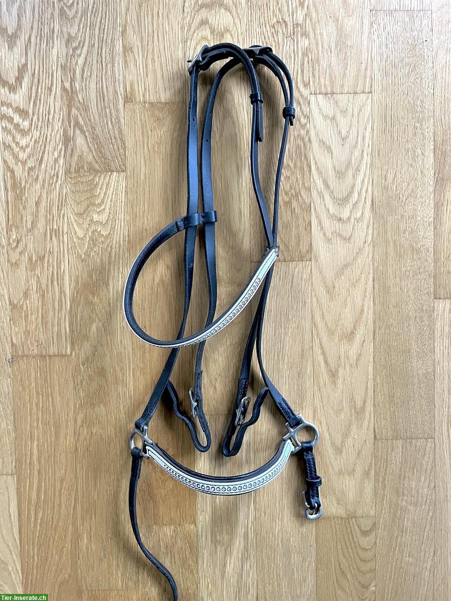 Trense: Nasen- und Stirnriemen (hannoveranisch) von Hunter