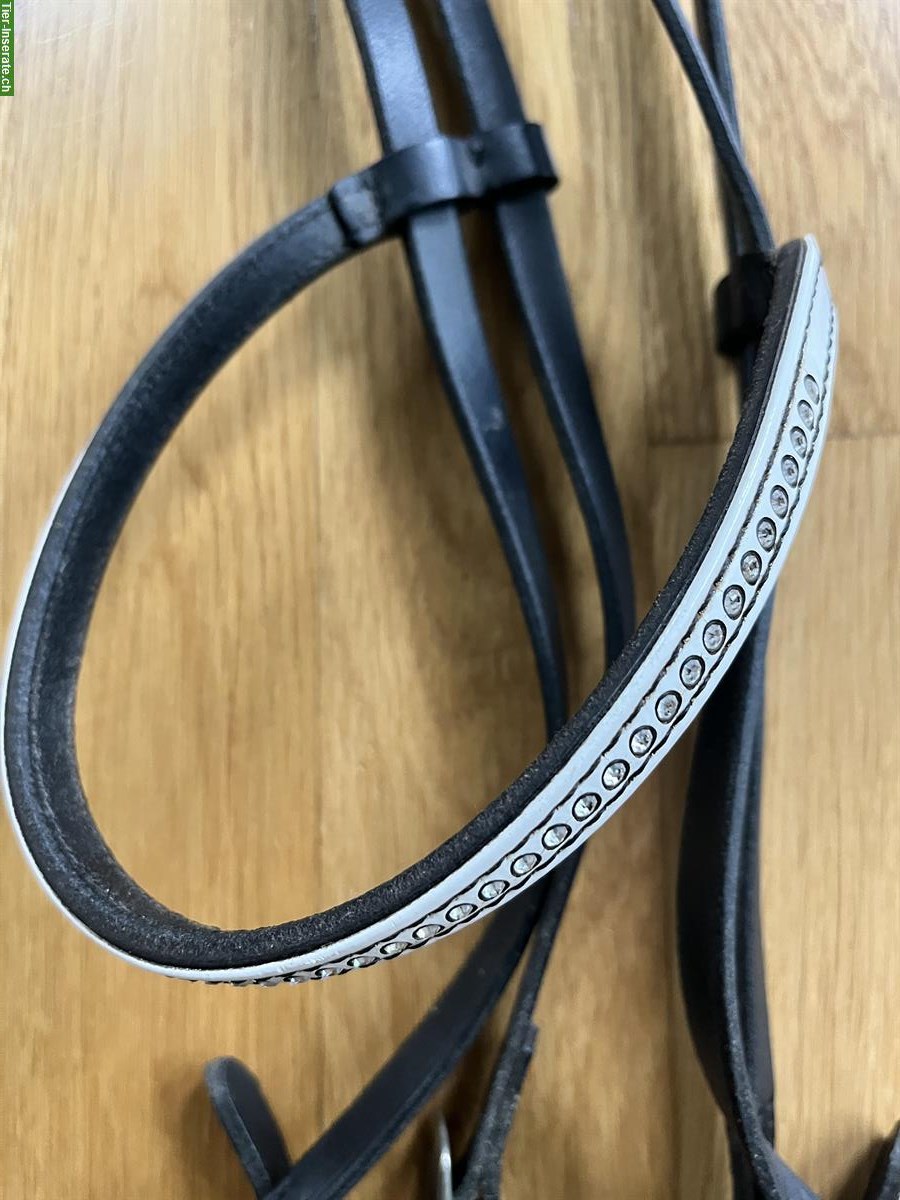 Bild 2: Trense: Nasen- und Stirnriemen (hannoveranisch) von Hunter