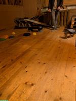 Welpen-Trainingshalle für zertifizierte Trainer