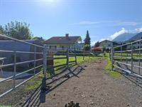 Offenstallplatz frei für Wallache in Frastanz, Österreich