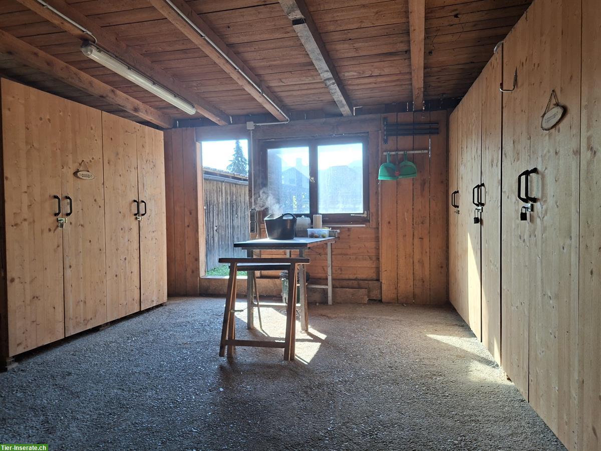 Bild 5: Offenstallplatz frei für Wallache in Frastanz, Österreich