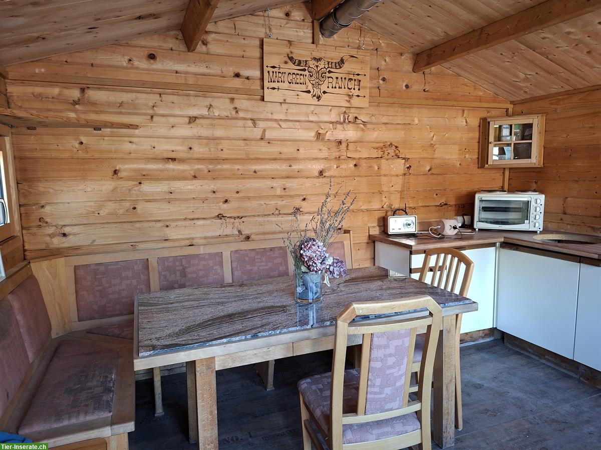 Bild 9: Offenstallplatz frei für Wallache in Frastanz, Österreich