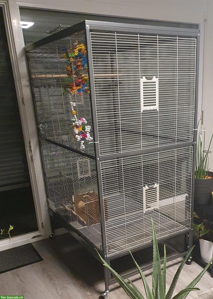 Vogelvoliere Casa 120 zu verkaufen