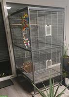 Vogelvoliere Casa 120 zu verkaufen