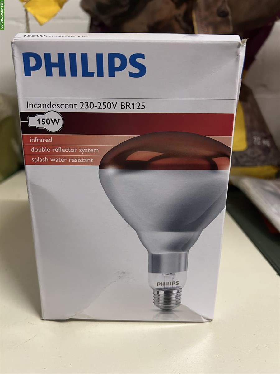 Bild 3: Pferdesolarium mit elektrischem Lift zu verkaufen