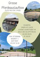Grosse Pferde Auslaufbox frei, Root LU
