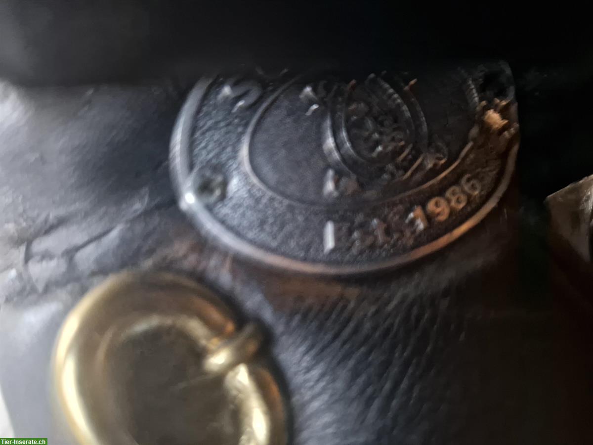 Bild 5: Dressursattel Schleese Flamenco 17.5 Zoll