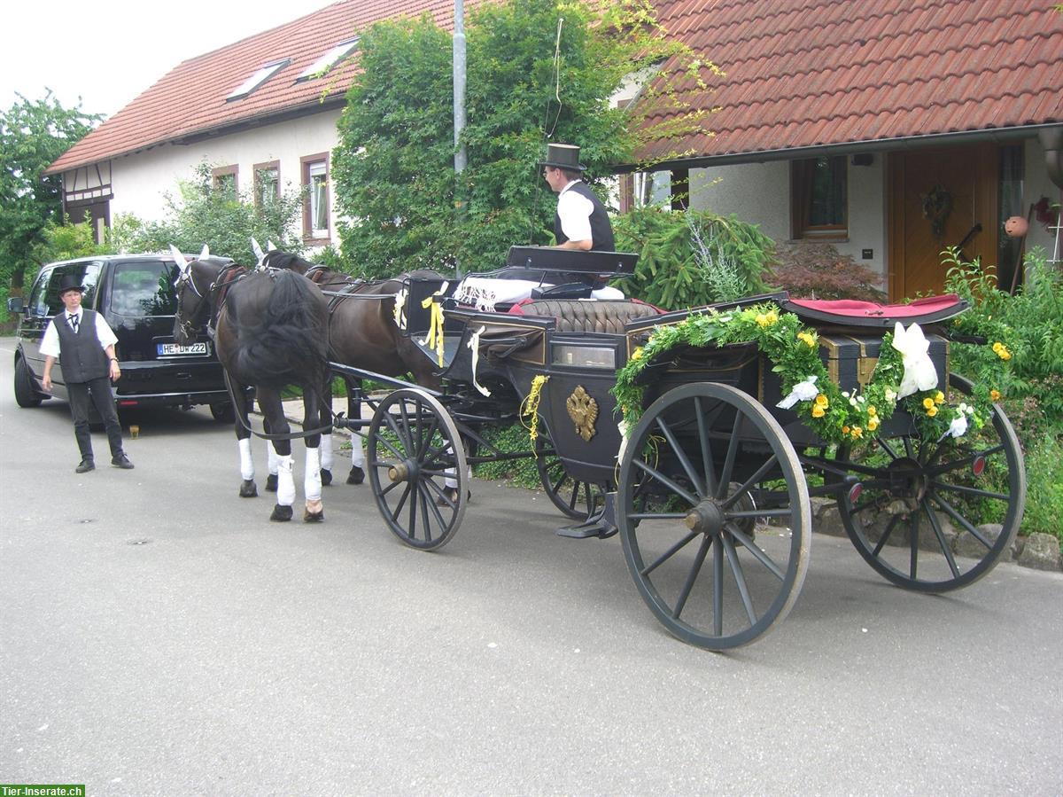 Historische Landauer Kutsche zu verkaufen