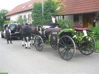 Historische Landauer Kutsche zu verkaufen