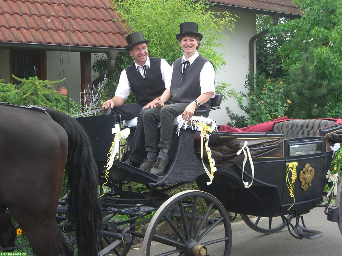 Bild 2: Historische Landauer Kutsche zu verkaufen