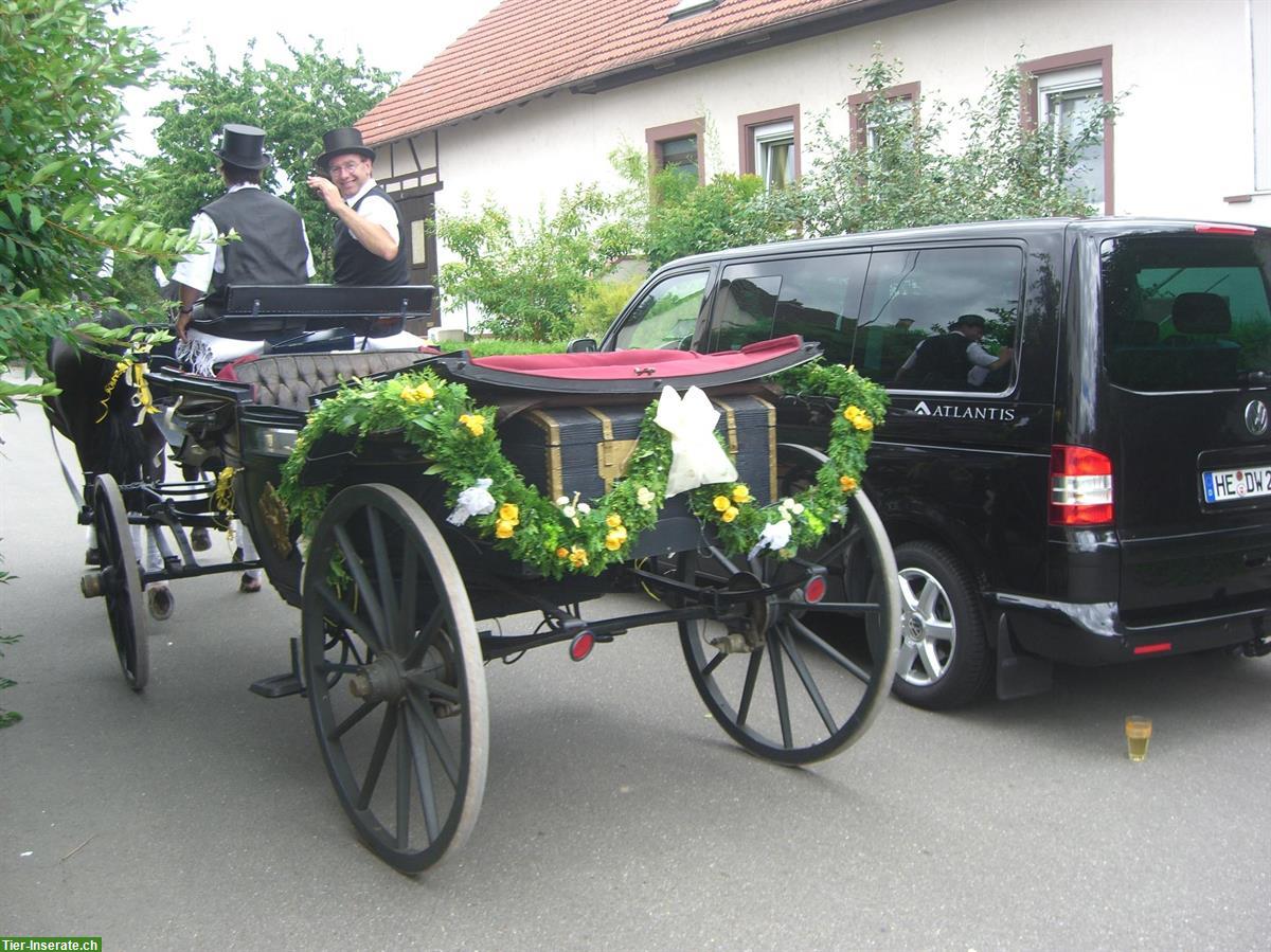 Bild 3: Historische Landauer Kutsche zu verkaufen