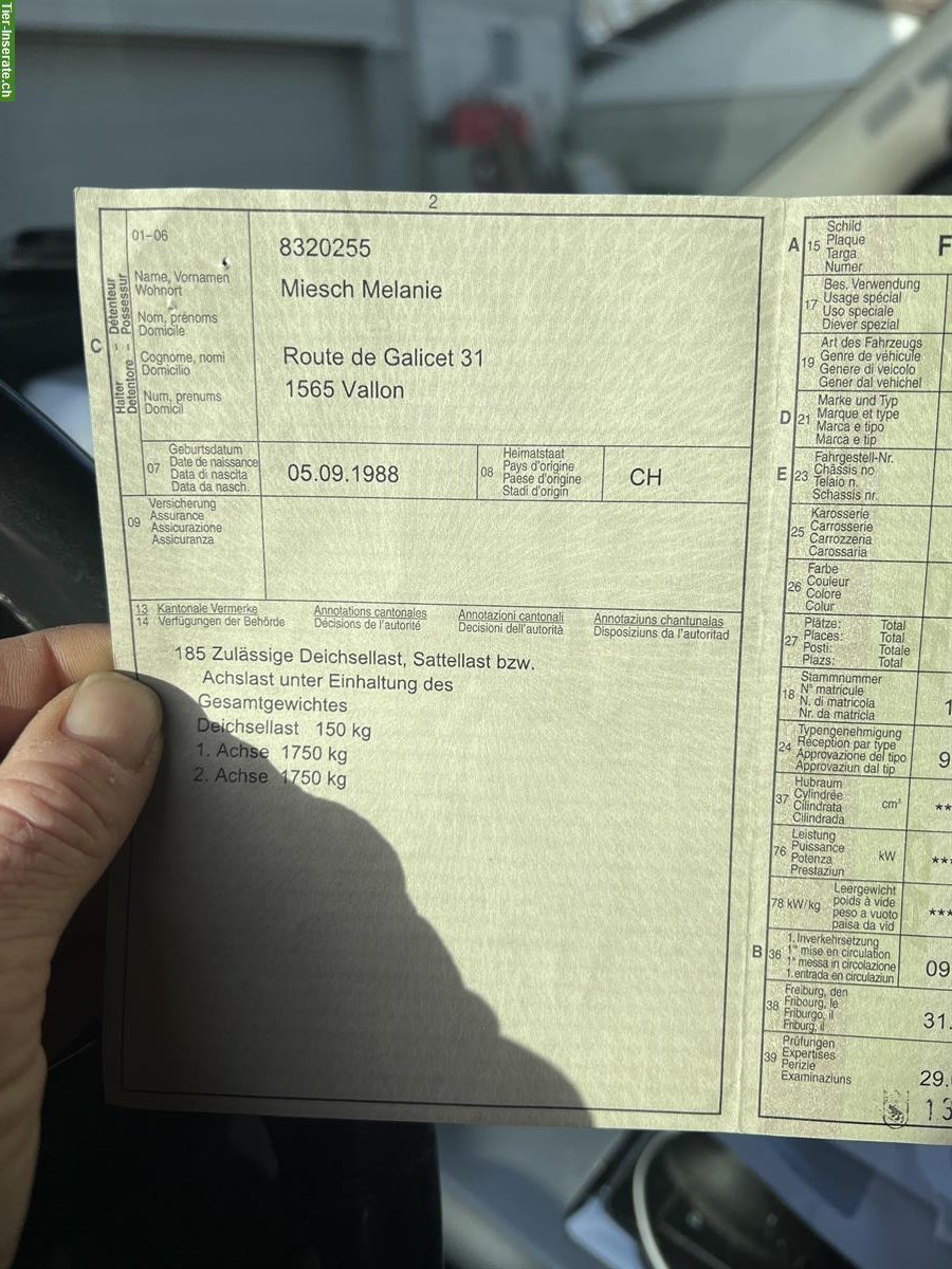 Bild 5: Weijer Pferdeanhänger mit begehbarer Sattelkammer