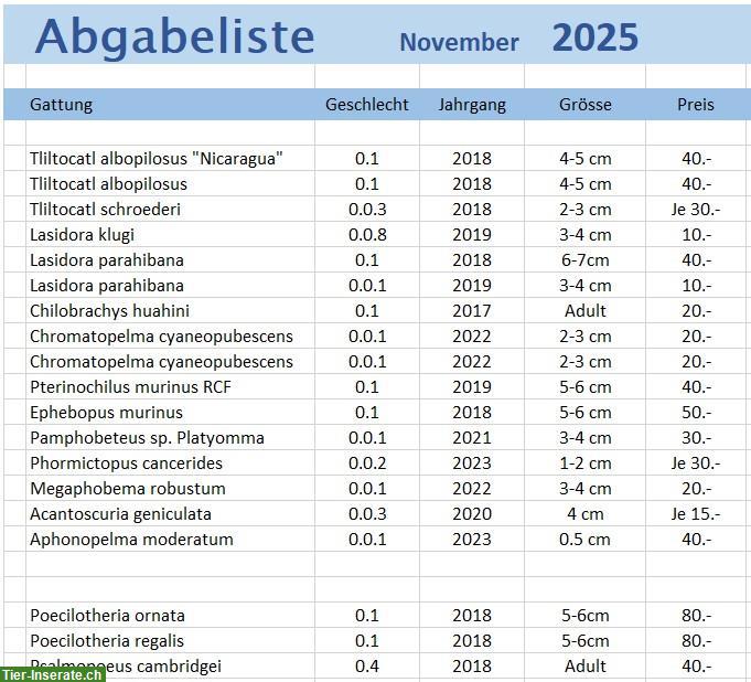 Diverse Vogelspinnen zu verkaufen, gemäss Liste