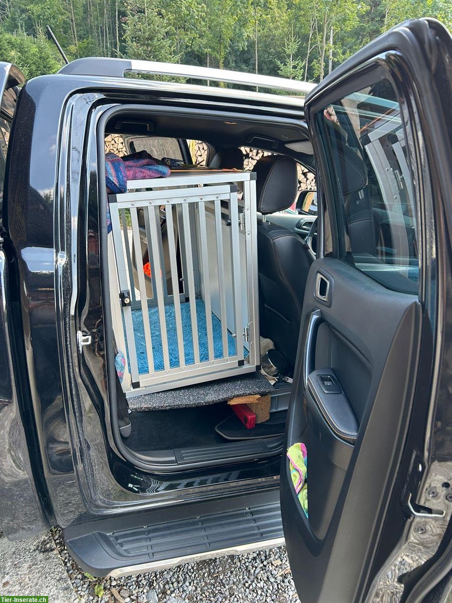 Bild 2: Hundebox Ford Ranger Rückbank, für mittelgrossen Hund