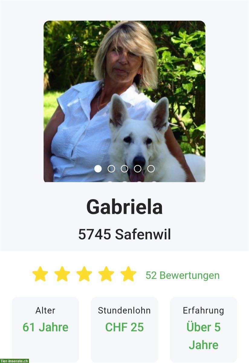 Zuverlässige Hundesitterin mit Herz & Verstand | Aarau bis Zofingen