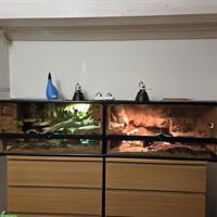 Makani & Malakai - Hakennasennattern suchen Dich!