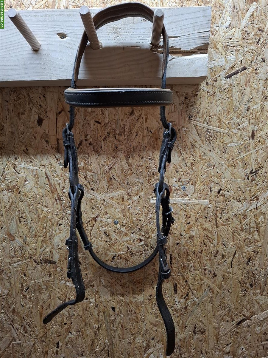 Barefoot "Contour Physio" Zaumzeug zu verkaufen