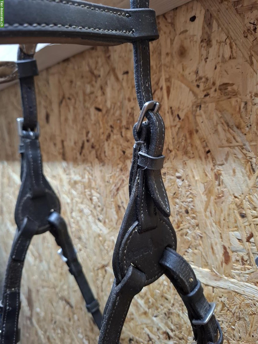 Bild 3: Barefoot "Contour Physio" Zaumzeug zu verkaufen