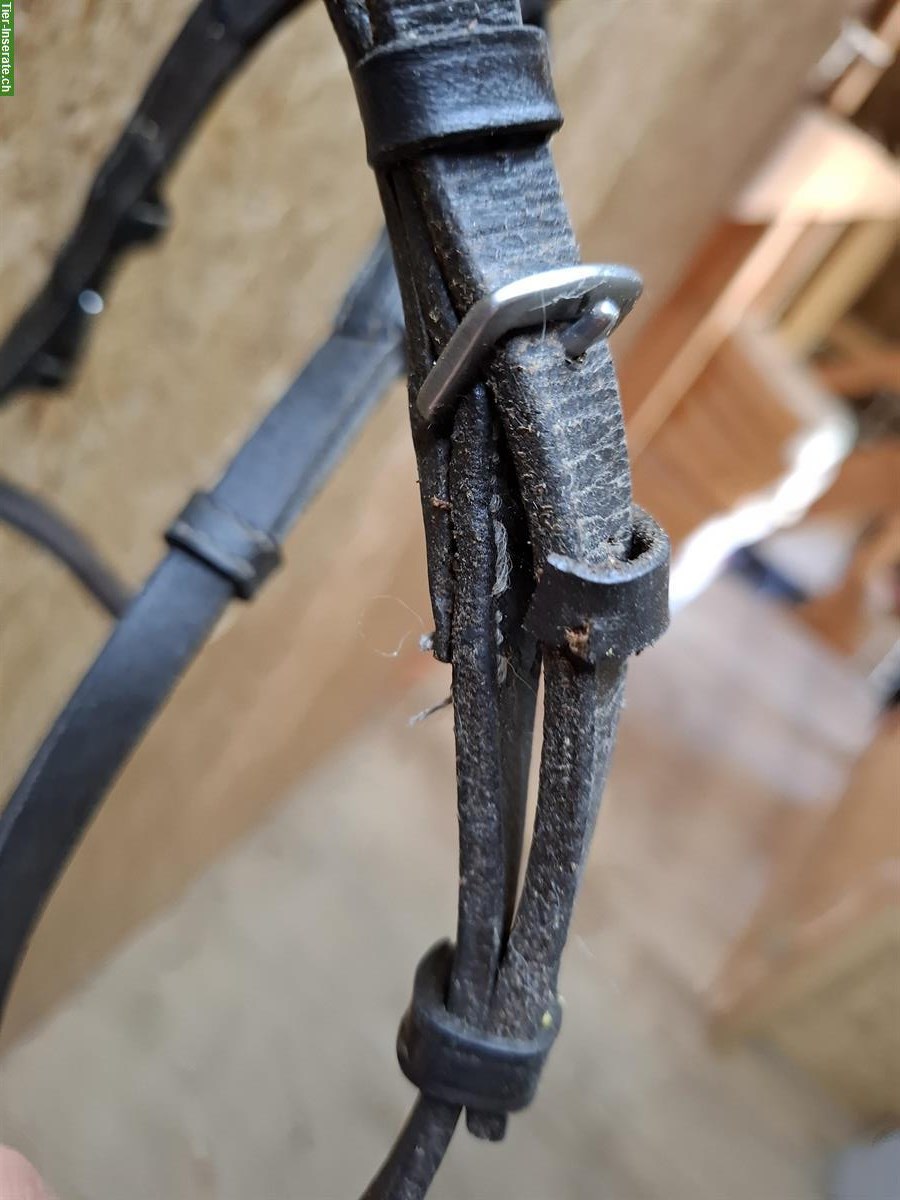 Bild 4: Barefoot "Contour Physio" Zaumzeug zu verkaufen