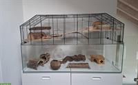 Nagerterrarium mit Zubehör