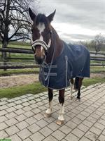 Suche Offenstall, Region Brugg, Lenzburg bis Wohlen oder Seetal