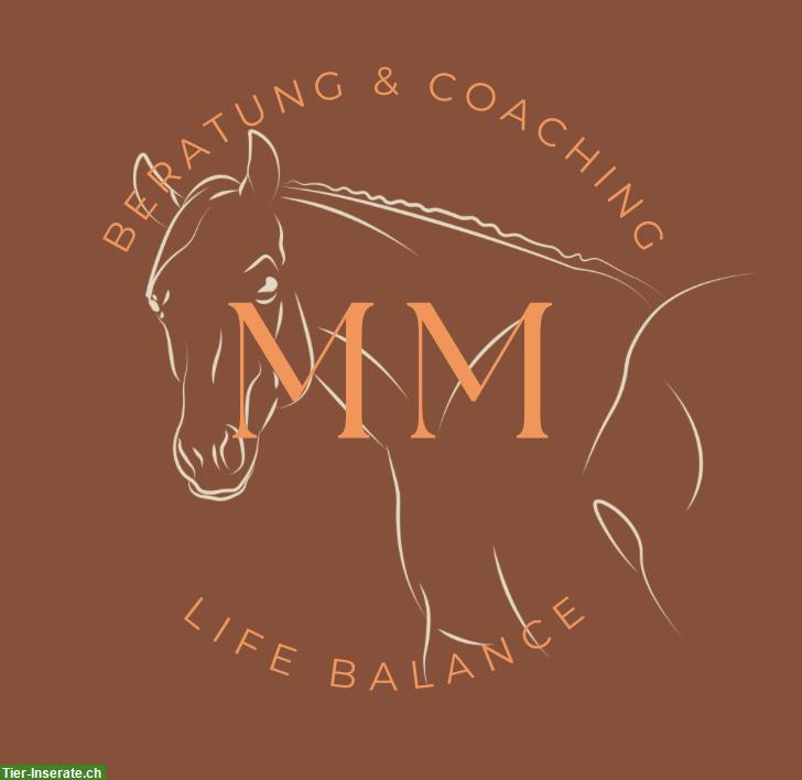 Pferdegestütztes Coaching | Manta Life-Balance