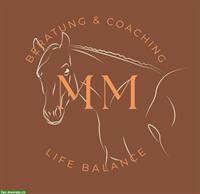 Pferdegestütztes Coaching | Manta Life-Balance