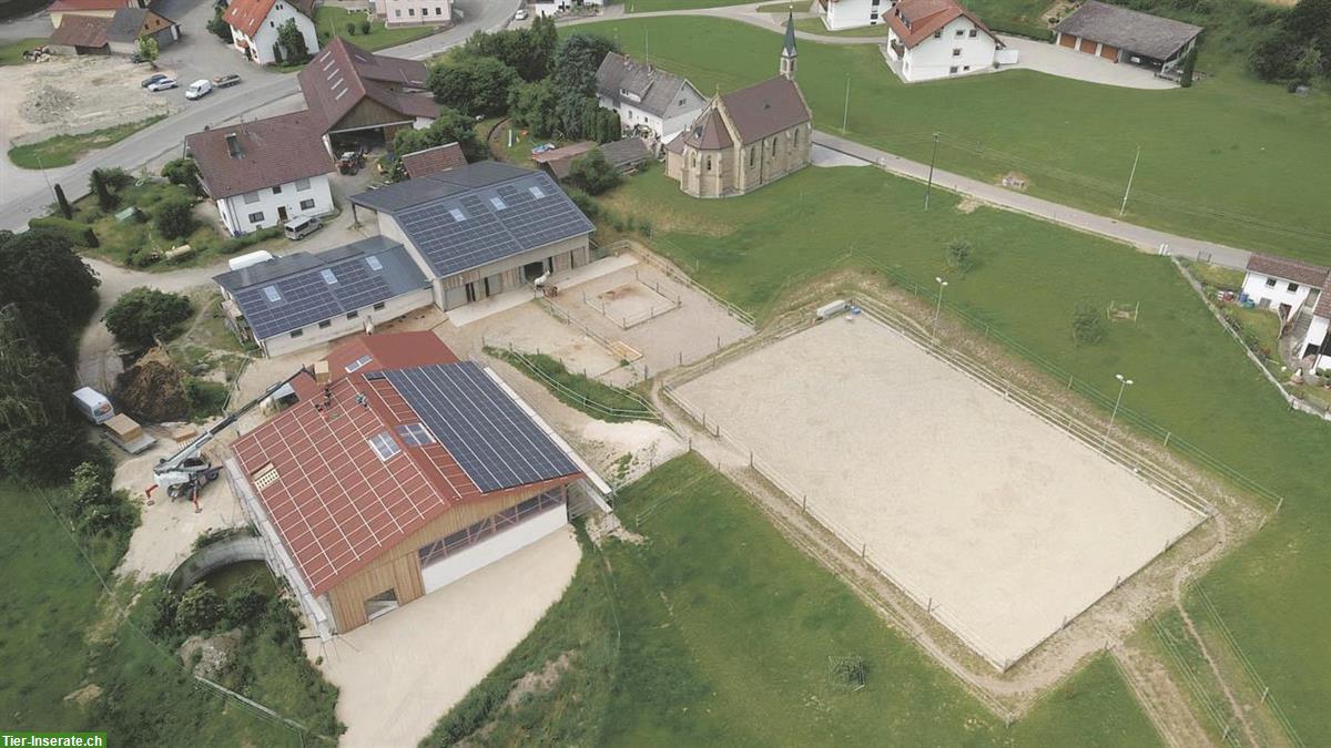 Bild 2: Gepflegter Pferdehof Aktivstall mit Halle + Reitplatz nahe CH-Grenze