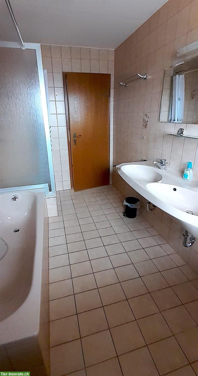 Bild 6: Gepflegter Pferdehof Aktivstall mit Halle + Reitplatz nahe CH-Grenze