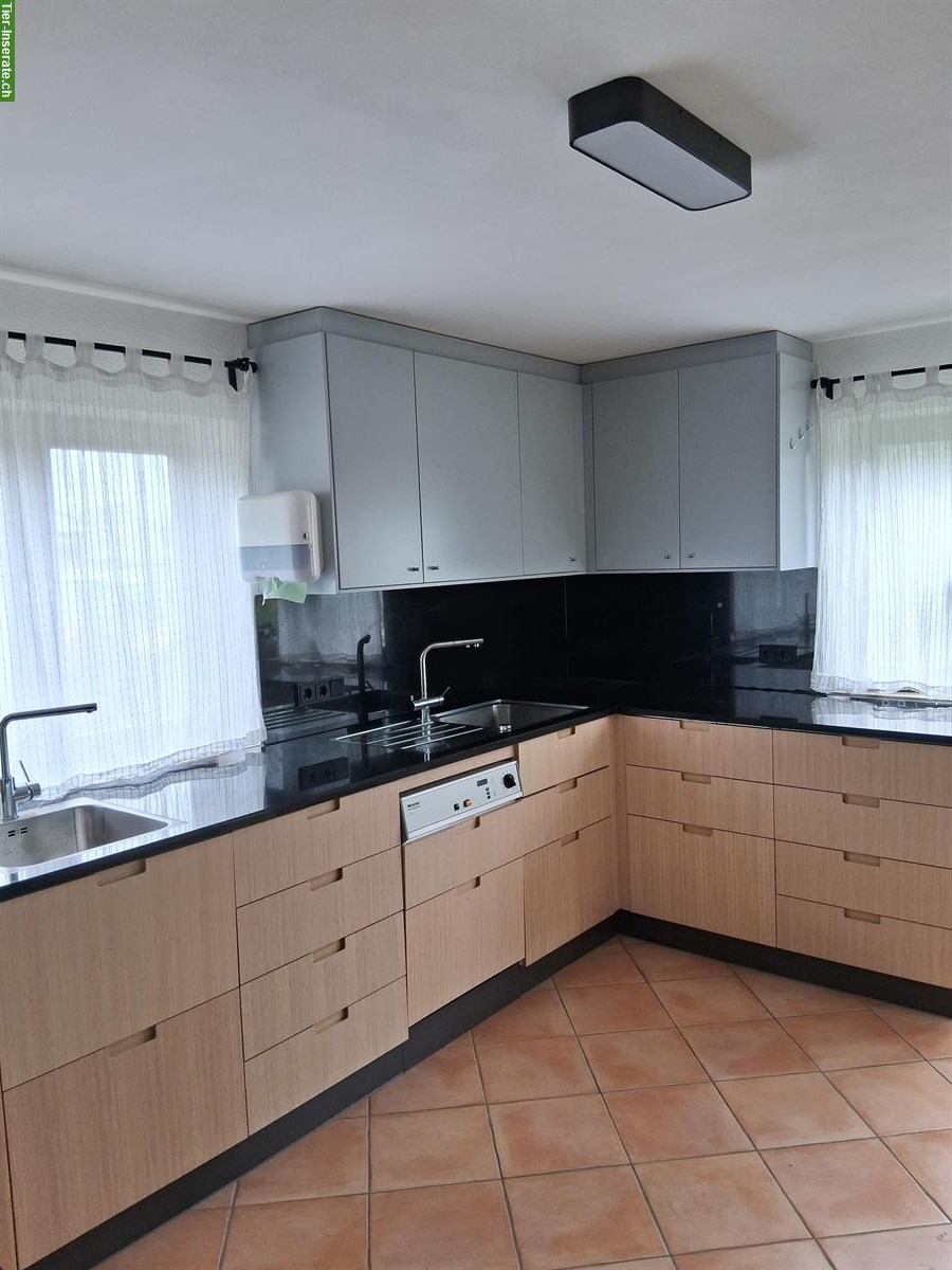 Bild 7: Gepflegter Pferdehof Aktivstall mit Halle + Reitplatz nahe CH-Grenze