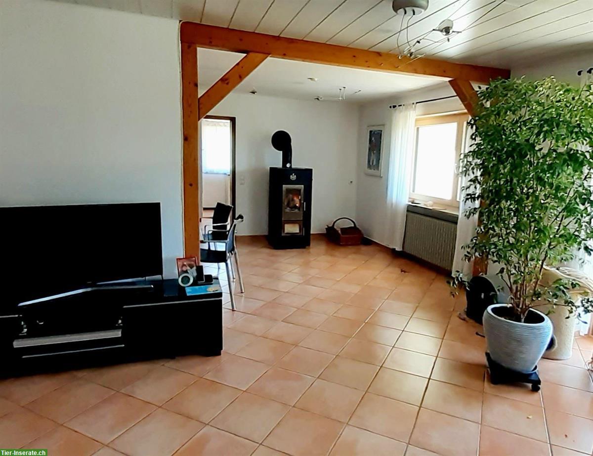 Bild 8: Gepflegter Pferdehof Aktivstall mit Halle + Reitplatz nahe CH-Grenze